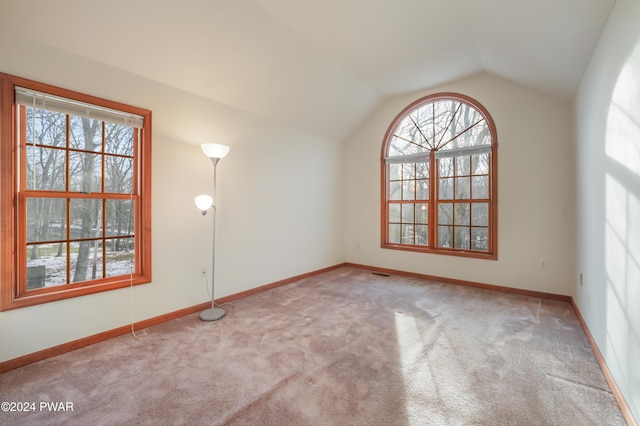 carpeted spare room with vaulted ceiling and a wealth of natural light