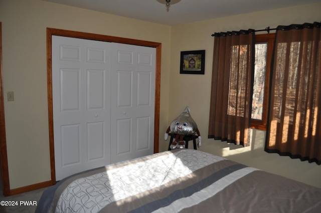 123 Fern Dr, Canadensis, PA 18325 - bedroom with carpet and a closet