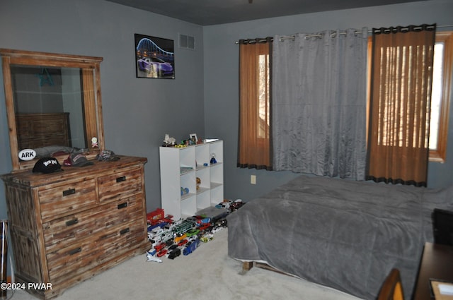 123 Fern Dr, Canadensis, PA 18325 - bedroom featuring carpet floors