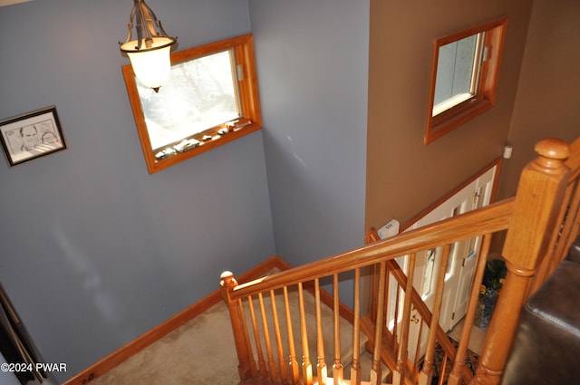 123 Fern Dr, Canadensis, PA 18325 - stairway featuring carpet floors and baseboards