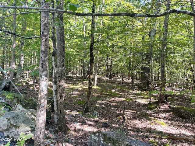 LOT756 Fawn Rd, Hawley PA, 18428 land for sale