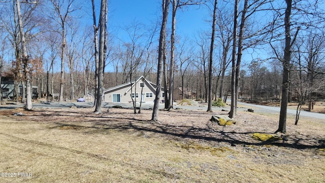 213 Powderhorn Dr, Lackawaxen, PA 18435 - view of yard