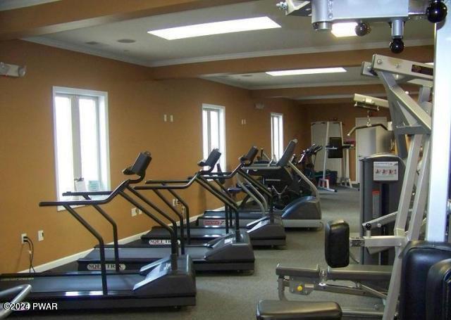 exercise room featuring ornamental molding and a wealth of natural light