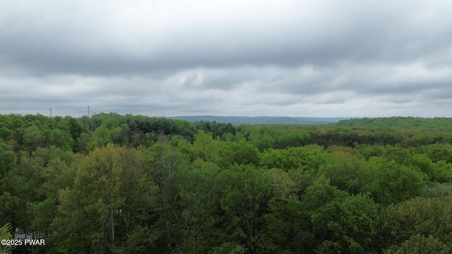 view of wooded area