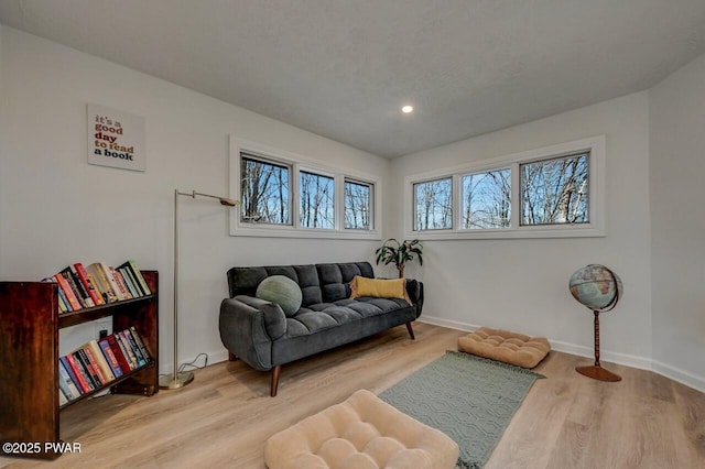 sitting room with hardwood / wood-style floors