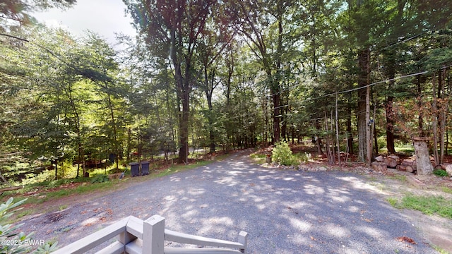 111 Metzger Trl, Dingmans Ferry, PA 18328 - photo 29