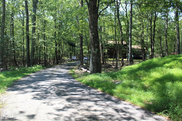 162 Wild Meadow Dr, Milford, PA 18337 - photo 2