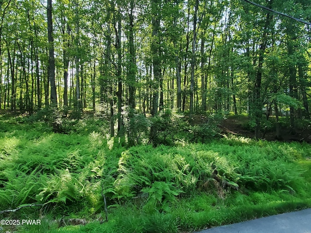 255 Fawn Lake Dr, Hawley, PA 18428 - photo 6