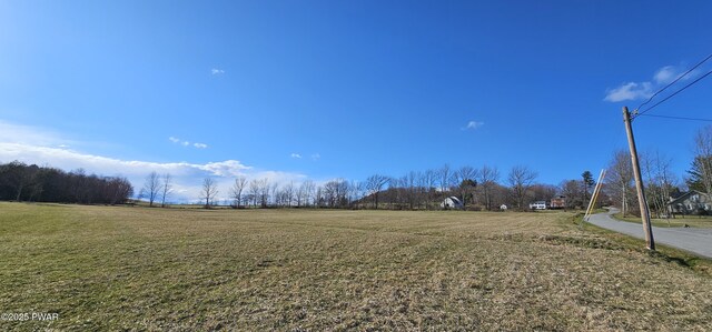 LOT3.46 Bauernfeind Rd, Callicoon, Ny, NY 12723 - photo 13