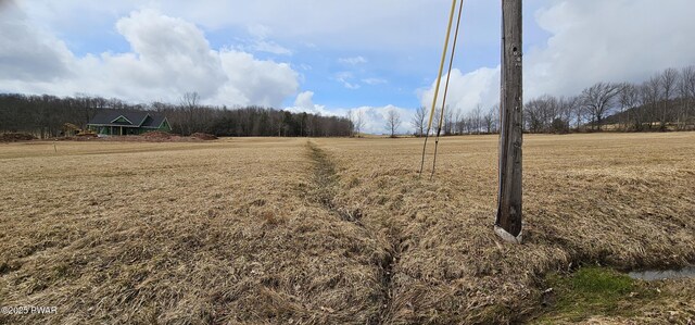 LOT3.46 Bauernfeind Rd, Callicoon, Ny, NY 12723 - photo 3
