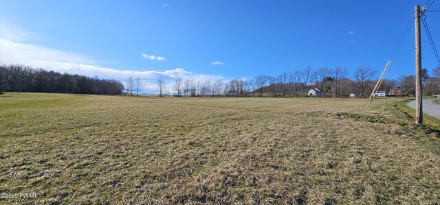 LOT3.46 Bauernfeind Rd, Callicoon, Ny, NY 12723 - photo 15