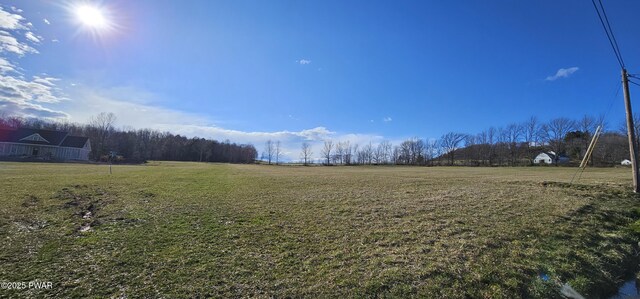LOT3.46 Bauernfeind Rd, Callicoon, Ny, NY 12723 - photo 11