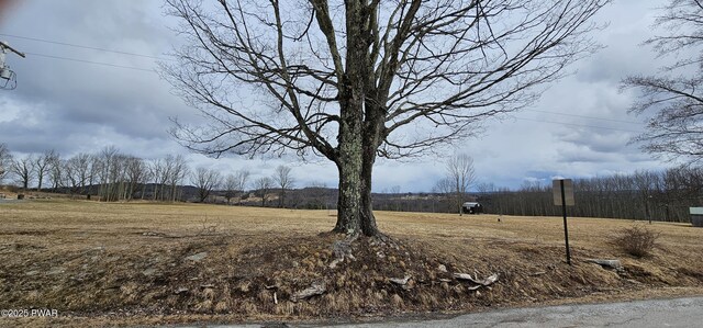 LOT3.46 Bauernfeind Rd, Callicoon, Ny, NY 12723 - photo 6