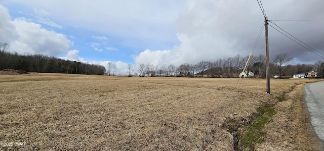 LOT3.46 Bauernfeind Rd, Callicoon, Ny, NY 12723 - photo 2