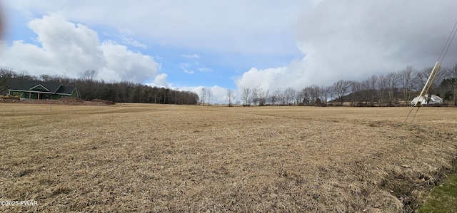 LOT3.46 Bauernfeind Rd, Callicoon, Ny, NY 12723 - photo 1