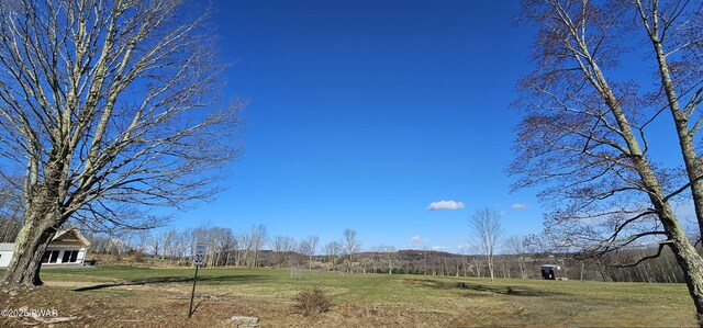 LOT3.46 Bauernfeind Rd, Callicoon, Ny, NY 12723 - photo 14