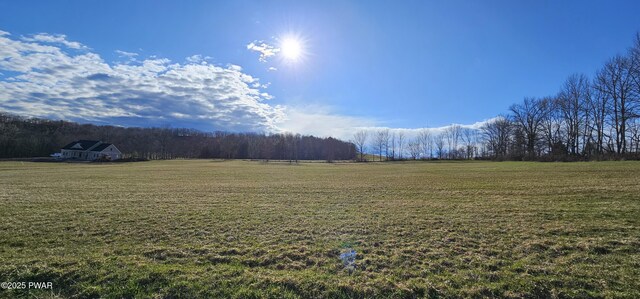LOT3.46 Bauernfeind Rd, Callicoon, Ny, NY 12723 - photo 8