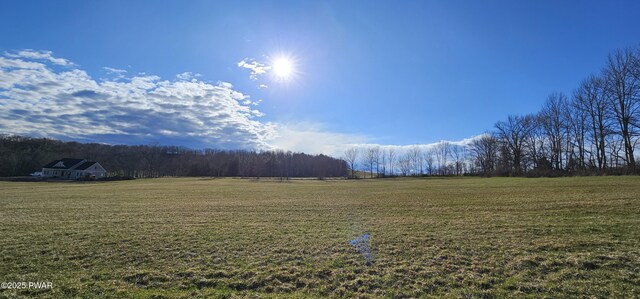 LOT3.46 Bauernfeind Rd, Callicoon, Ny, NY 12723 - photo 9