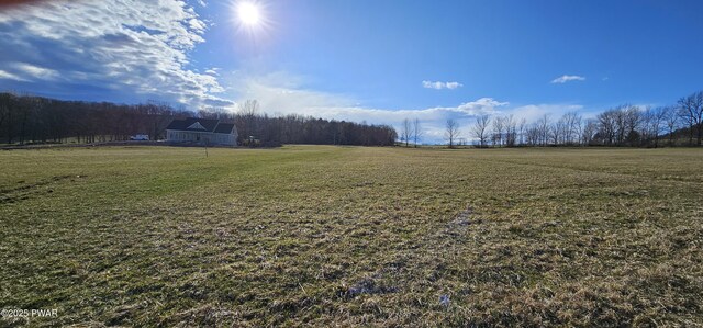 LOT3.46 Bauernfeind Rd, Callicoon, Ny, NY 12723 - photo 16