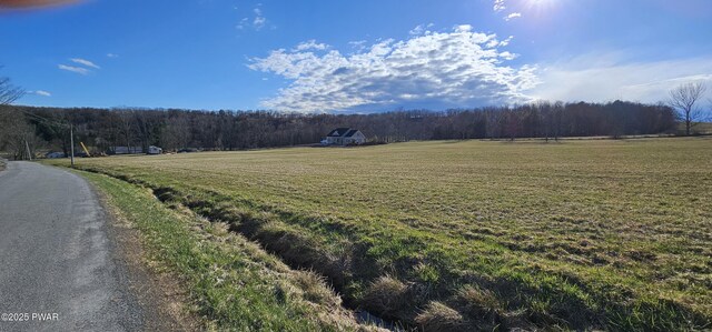 LOT3.46 Bauernfeind Rd, Callicoon, Ny, NY 12723 - photo 10