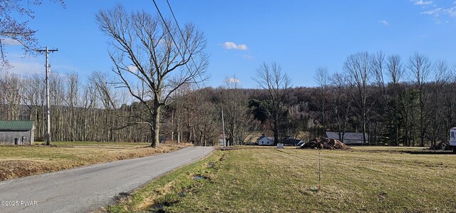 LOT3.46 Bauernfeind Rd, Callicoon, Ny, NY 12723 - photo 17