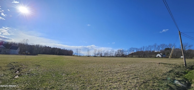 LOT3.46 Bauernfeind Rd, Callicoon, Ny, NY 12723 - photo 12