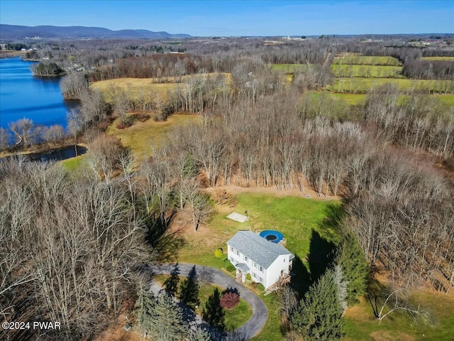 birds eye view of property with a water and mountain view