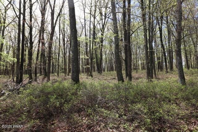 177 Lake View Cir, Hawley, PA 18428
