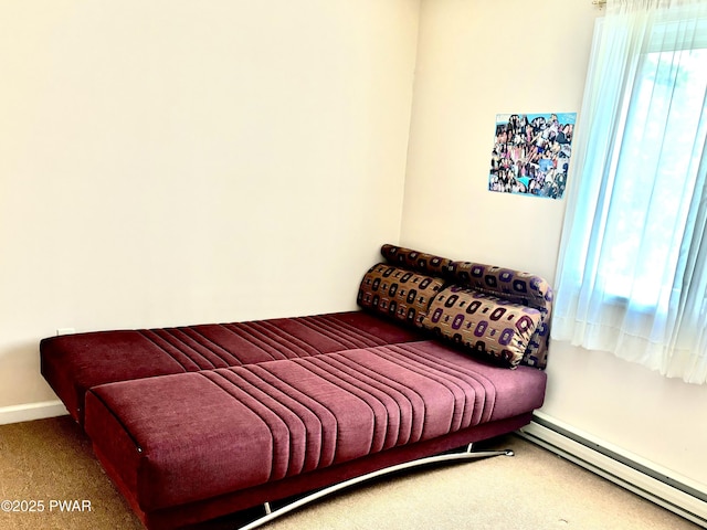 129 Skyview Rd, Dingmans Ferry, PA 18328 - carpeted bedroom with a baseboard heating unit and baseboards