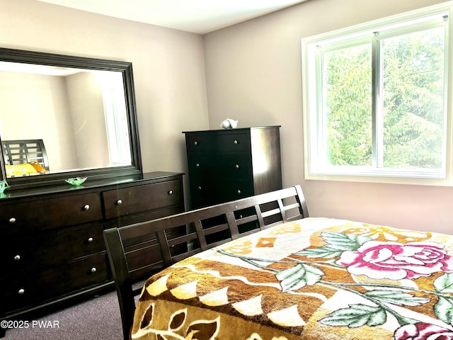 129 Skyview Rd, Dingmans Ferry, PA 18328 - carpeted bedroom with multiple windows