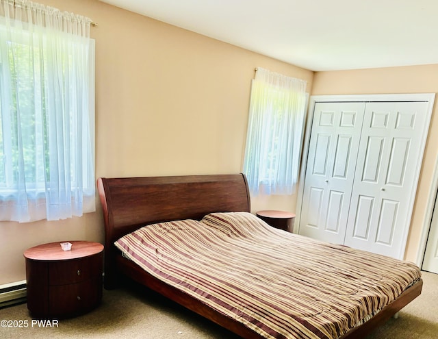 129 Skyview Rd, Dingmans Ferry, PA 18328 - carpeted bedroom with a closet