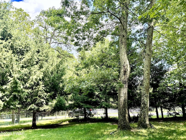 129 Skyview Rd, Dingmans Ferry, PA 18328 - view of yard
