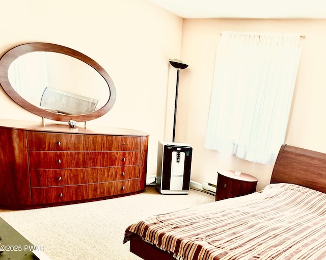 129 Skyview Rd, Dingmans Ferry, PA 18328 - carpeted bedroom with baseboard heating
