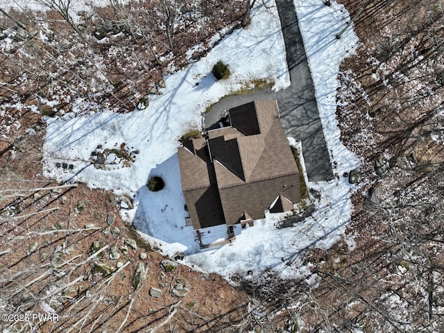 view of snowy aerial view