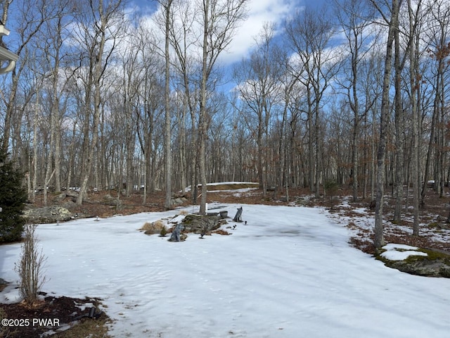 view of snowy yard