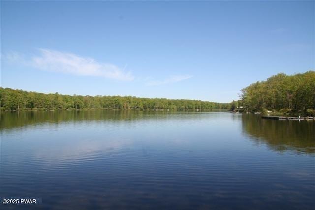 property view of water with a wooded view