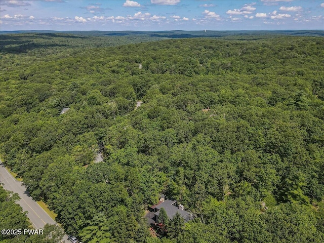 130 Surrey Dr, Hawley, PA 18428 - photo 53