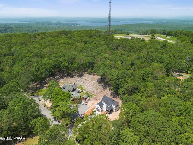 131 Song Mountain Dr, Tafton, PA 18464 - drone / aerial view of a forest