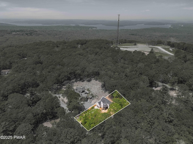 131 Song Mountain Dr, Tafton, PA 18464 - aerial view of property and surrounding area with a forest and property boundaries highlighted