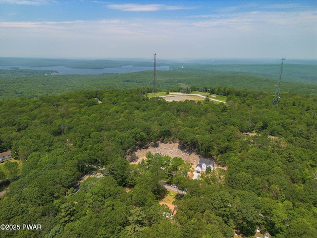 131 Song Mountain Dr, Tafton, PA 18464 - aerial view of property's location featuring a forest