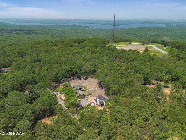 131 Song Mountain Dr, Tafton, PA 18464 - aerial overview of property's location with a heavily wooded area