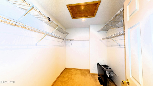 spacious closet with light carpet