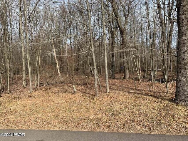 LOT260 Reid Rd, Lake Ariel PA, 18436 land for sale