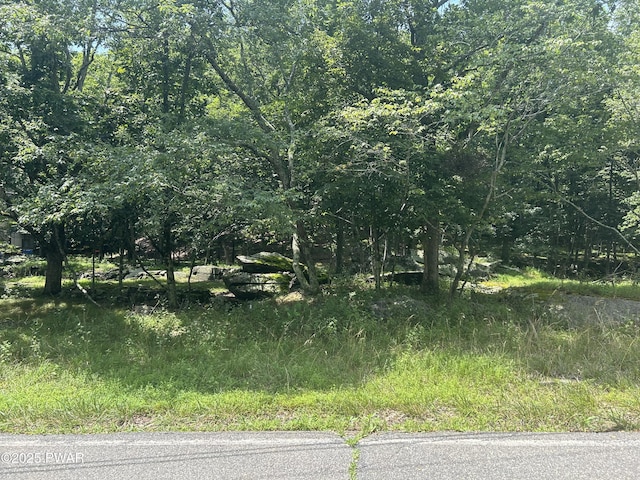 LOT270 Saunders Ct, Bushkill, PA 18324 - photo 2