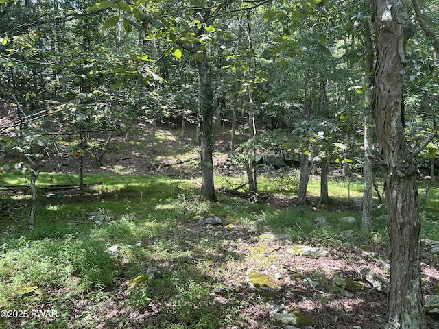 LOT270 Saunders Ct, Bushkill, PA 18324 - photo 3