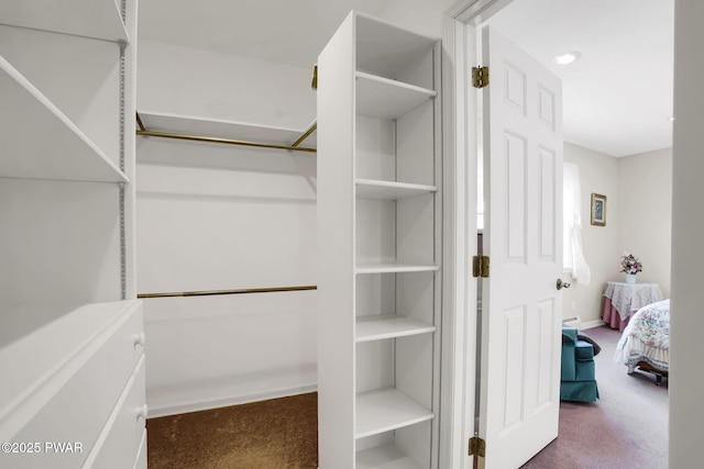 spacious closet featuring carpet flooring