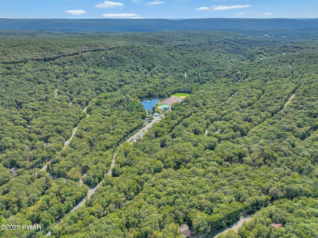 aerial view of a heavily wooded area