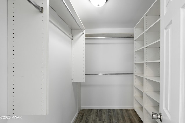 spacious closet with dark wood-type flooring