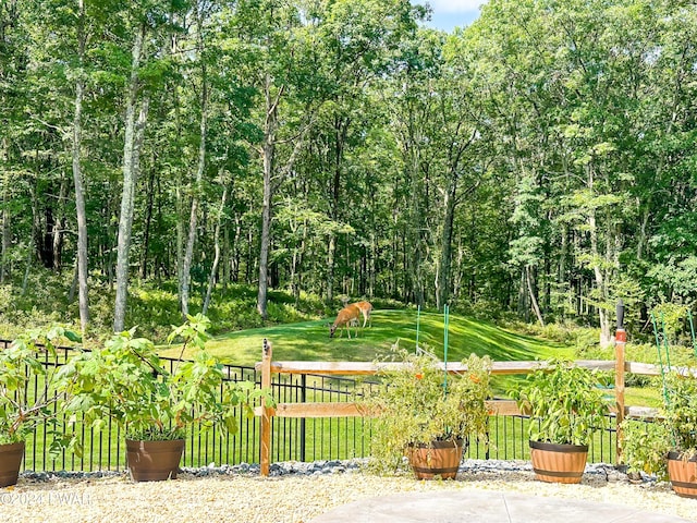 view of property's community with a lawn