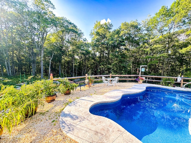 view of swimming pool